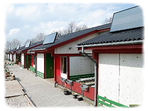 Kindergarden