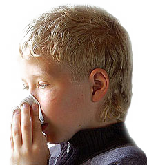 nose