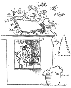 overophed_3